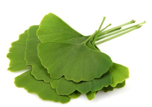 Varicone contiene gingko biloba