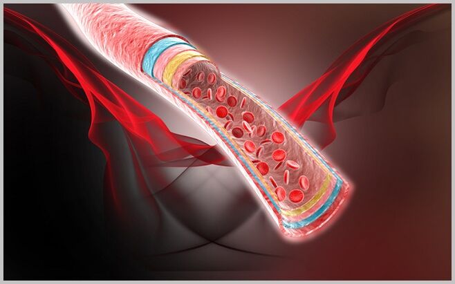 flujo sanguíneo en las venas después del tratamiento de las venas varicosas con gel